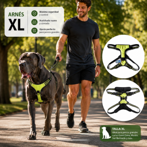 Arnes de Seguridad Ajustable