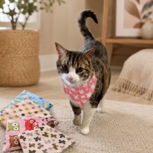 Bandanas sin Broche para Perros y Gatos