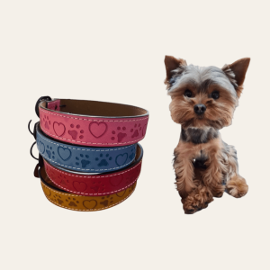 Correa con Diseño para Perro