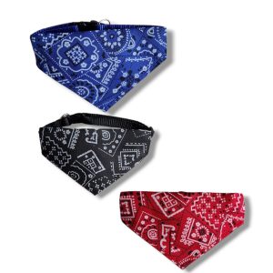 Bandana con Broche para Gatos