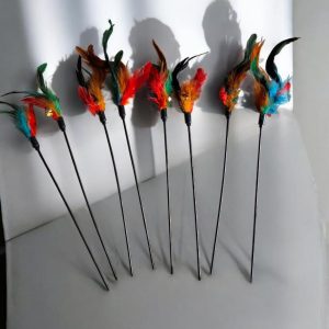 Varitas para gato