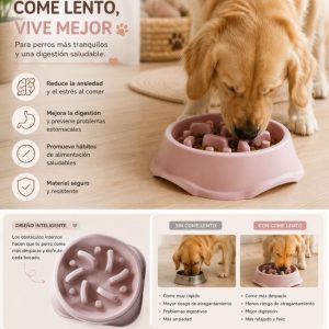 Plato Come Lento