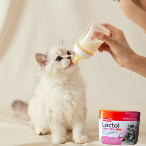 Sustituto Lácteo para Gatitos - Kitty Milk Beaphar®