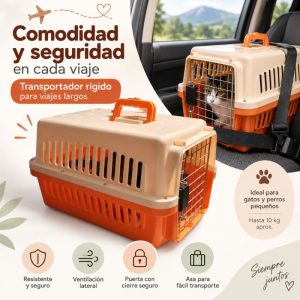 Transportador Rigido